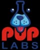 Northstar Labs logo